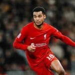 Cody Gakpo Signs New Long-Term Liverpool Contract
